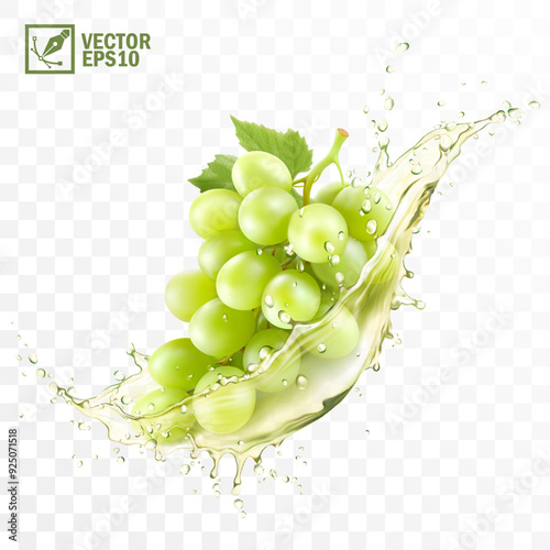 Realistic transparent isolated vector splash of wine or grape juice with green grapes branch
