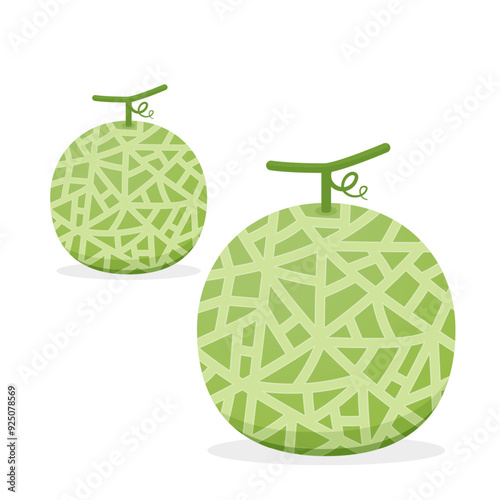 Melon logo vector. melon on white background. Half melon.