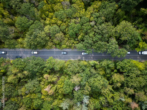 Wallpaper Mural Drone video of a car driving through a winding road surrounded by dense green forest. The serene aerial view captures the beauty and tranquility of nature and the road less traveled Torontodigital.ca