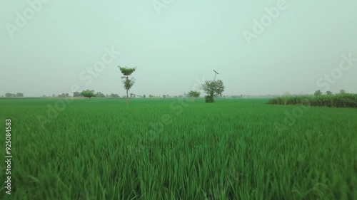 Aerial footage of fields