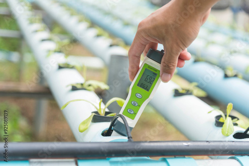 Check pH value of water in vegetable hydroponics system  