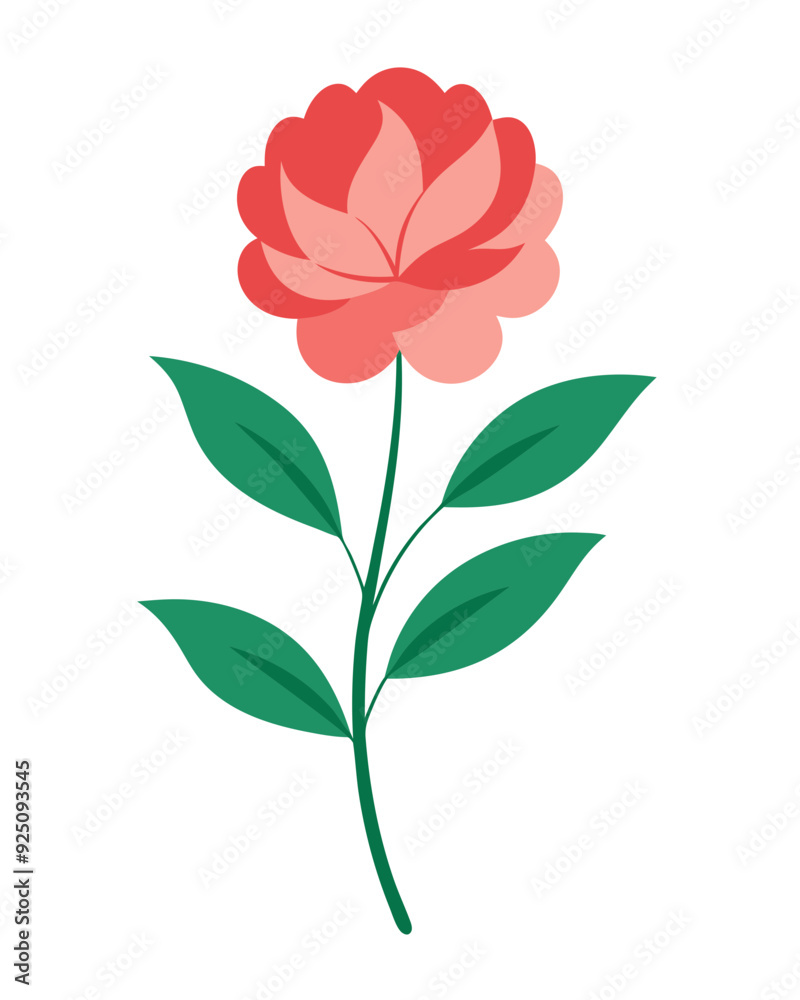 Peony plant vector illustration Peony plant vector illustration