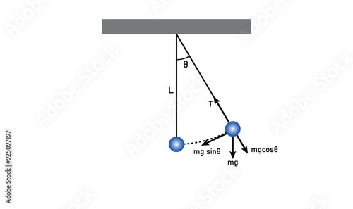 Simple pendulum harmonic motion in physics.