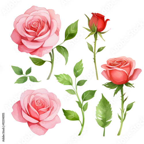 Watercolor Pink Roise Clipart, Pink Flowers Clipart, Printable Graphics