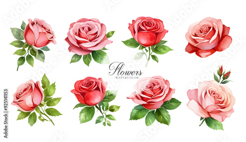 Watercolor Pink Roise Clipart, Pink Flowers Clipart, Printable Graphics	