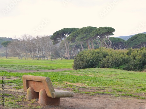 Stone bench against a background of green field and trees.