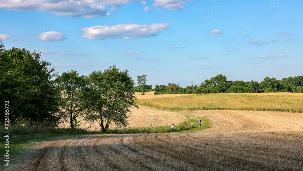 Fototapeta premium Natural Lands ChesLen Preserve in summer, near West Chester in the Philadelphia suburb, Pennsylvania