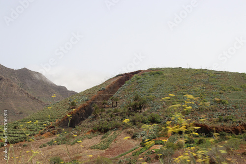 Palmar Mountain or Zahorra Mountain in Buenavista del Norte (Tenerife, Spain) photo