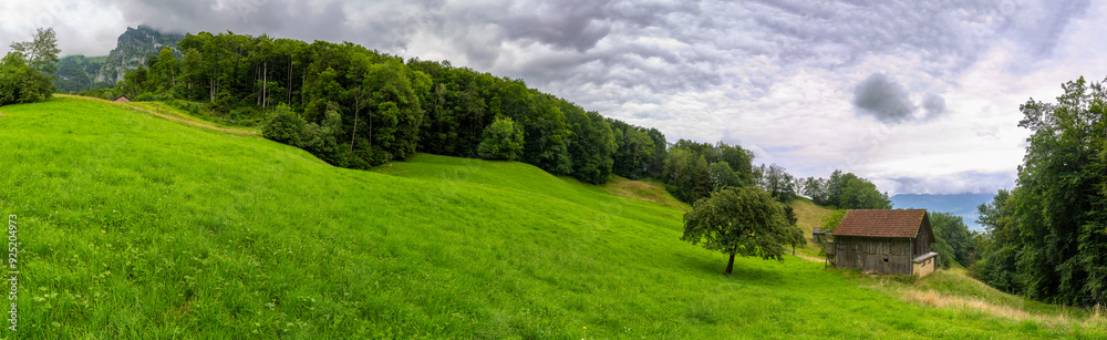 Panorama with old farmhouse on steep slope and rocky mountain in background. green pasture and forest with single tree in Rhein valley under Alpstein. peak with cloud hut, interesting cloudy day Panorama with old farmhouse on steep slope and rocky mountain in background. green pasture and forest with single tree in Rhein valley under Alpstein. peak with cloud hut, interesting cloudy day