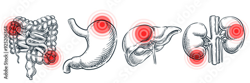 Internal organs illness, disease and inflammation. Abstract pain localization symbol. Vector medical sketch illustration. Hand drawn doodle anatomy symbols set isolated on white background