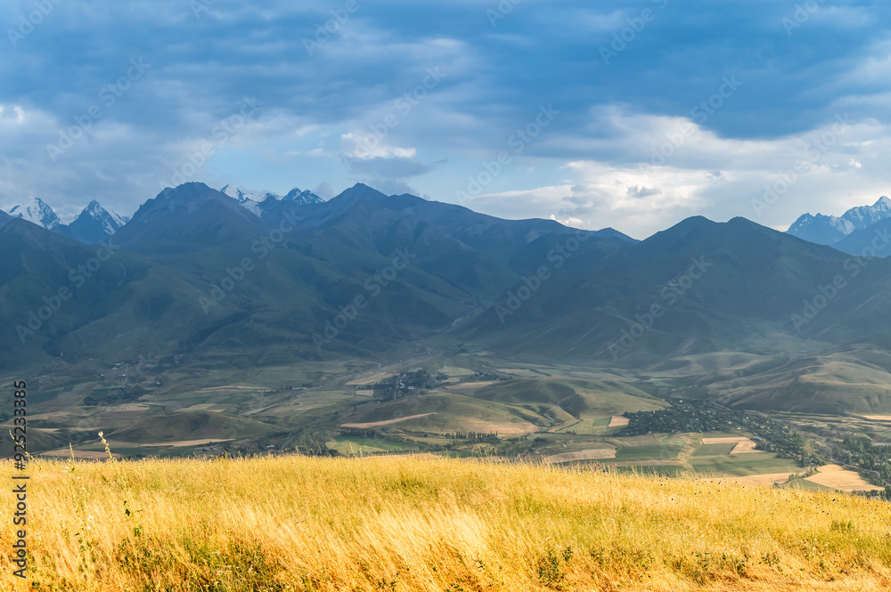 Fototapeta premium Dry yellow meadow grasses and view of mountain range.