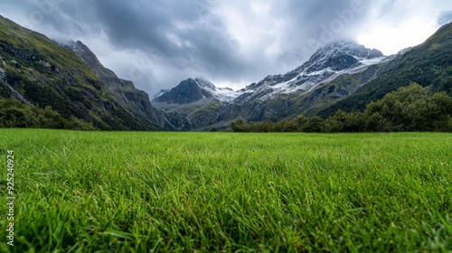  A grassy field faces a mountain range, snow-capped peaks rising above, clouds scattering the sky