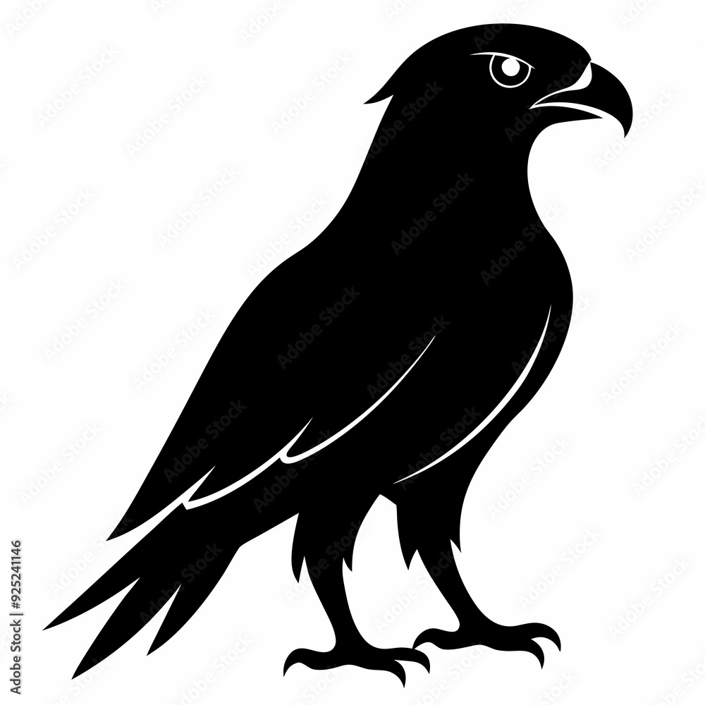 Obraz premium Hawk Black silhouette