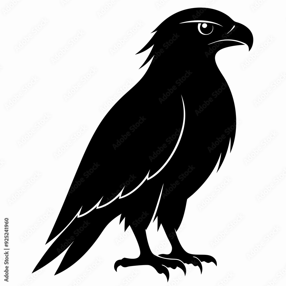 Obraz premium Hawk Black silhouette