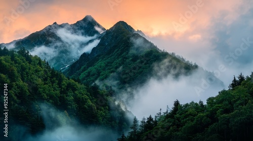  A mountain shrouded in fog and clouds, trees in foreground, pink-yellow sky behind