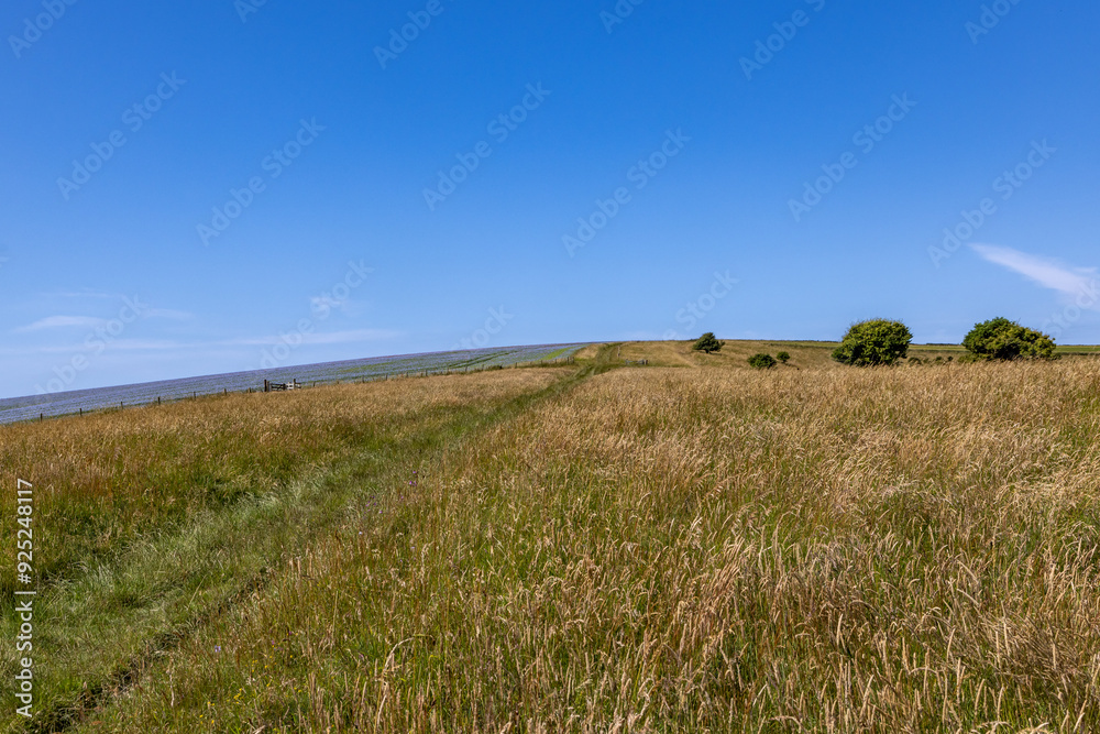 Looking out over fields in rural Sussex on a sunny summer's day Looking out over fields in rural Sussex on a sunny summer's day