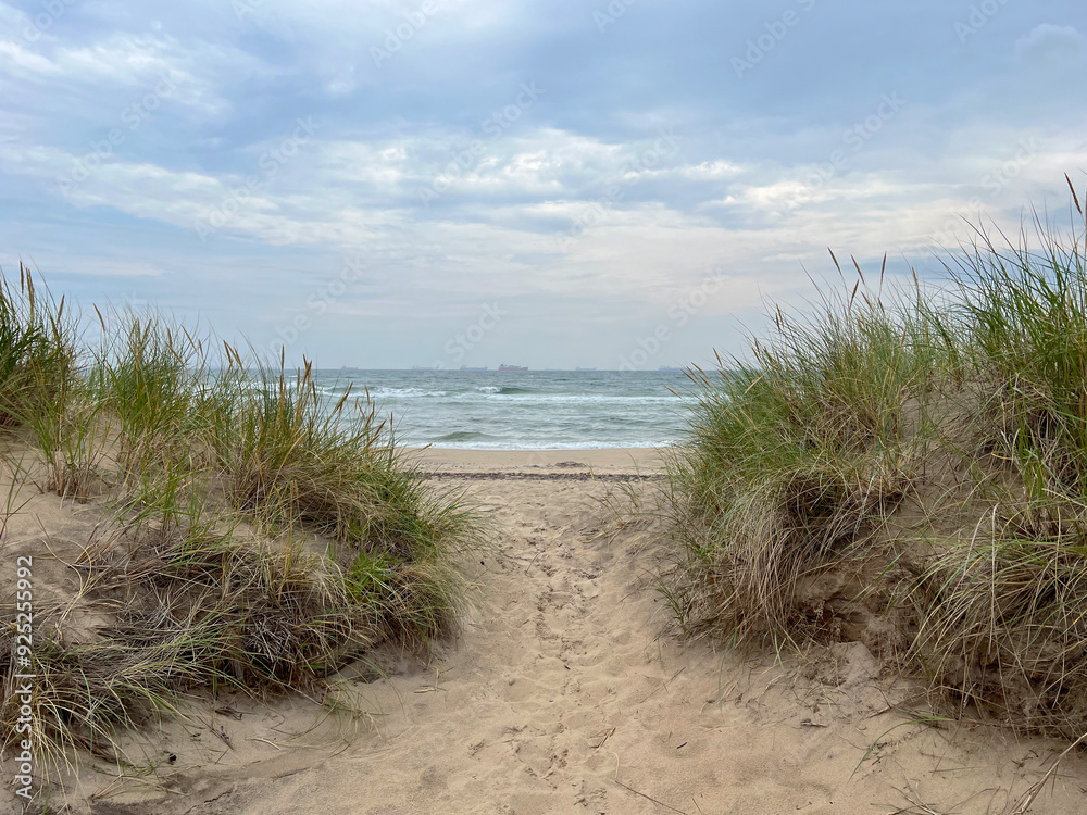 Sand dune with marram grass on the seashore, Skagen beach, Denmark Sand dune with marram grass on the seashore, Skagen beach, Denmark