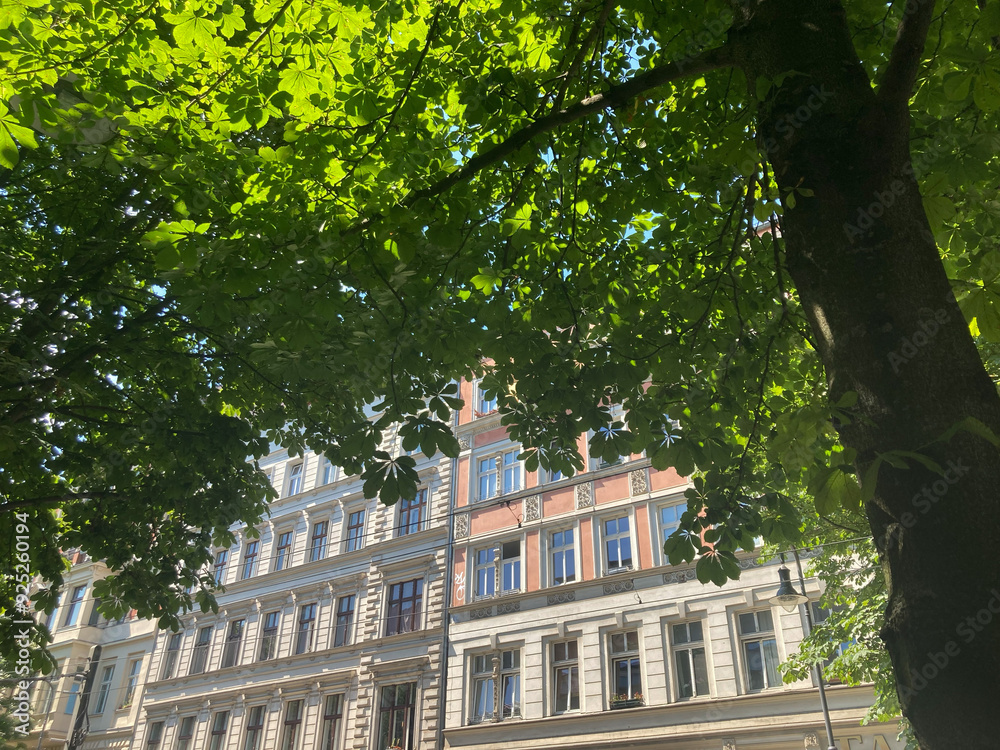 Straßenbäume im Altbau-Kiez in Berlin, Deutschland