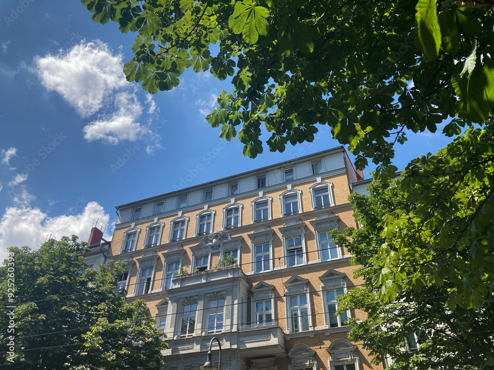 Straßenbäume im Altbau-Kiez in Berlin, Deutschland