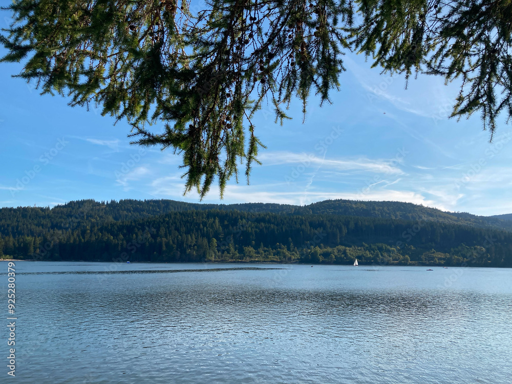 Der Schluchsee im Schwarzwald