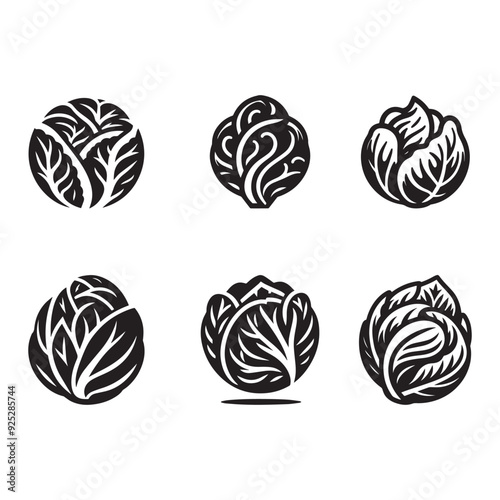 Black and white cabbage vector silhouette.