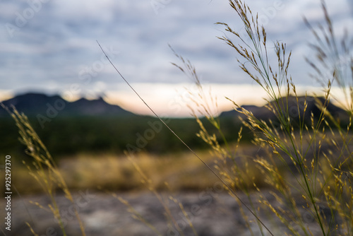 Niassa Beautiful landscape in Mozambique photo