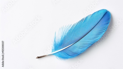 Close-up of a vivid blue feather on a white background, showcasing its delicate structure and natural beauty in sharp detail.