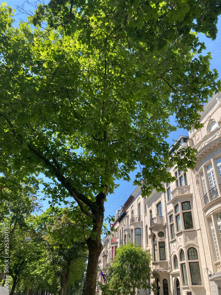 Prachtvolle Altbaufassaden einer begrünte Straße in Ixelles, Brüssel, Belgien