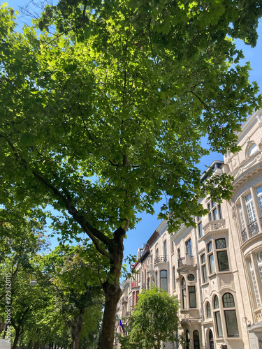 Obraz na płótnie Prachtvolle Altbaufassaden einer begrünte Straße in Ixelles, Brüssel, Belgien w salonie