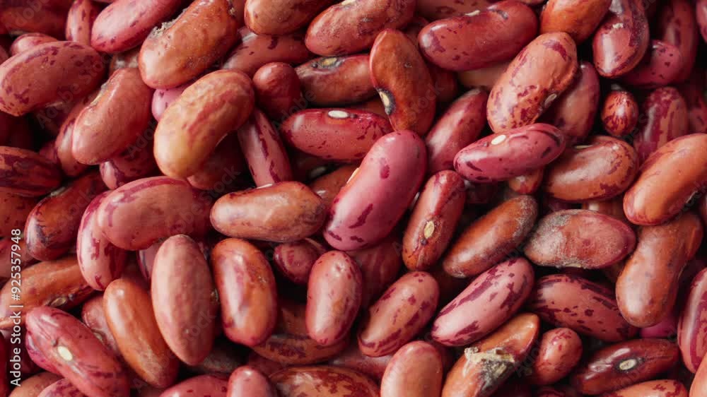Each kidney bean gleams, smooth and round as if polished by the touch of time Each kidney bean gleams, smooth and round as if polished by the touch of time