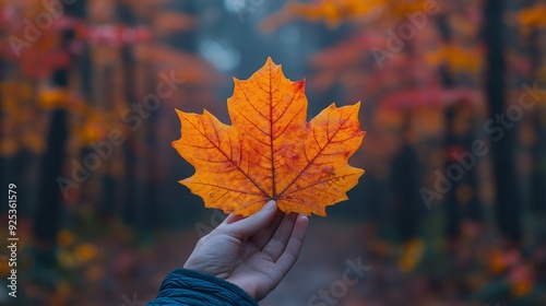 Vibrant Autumn Maple Leaf Held Against a Background of Colorful Fall Foliage in a Misty Forest, Capturing the Essence of the Changing Seasons