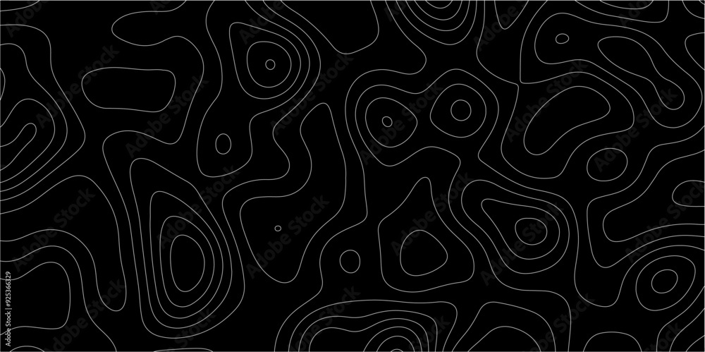Fototapeta premium Abstract lines background. Contour maps. Vector illustration. The stylized height of the topographic map contour in lines and contours isolated on transparent. technology topo landscape grid map text.