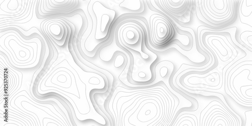 Vector black and white wave curve Topography grid map. white wave line geography landscape Topo contour map on white background. Geographic mountain relief diagram line pattern.