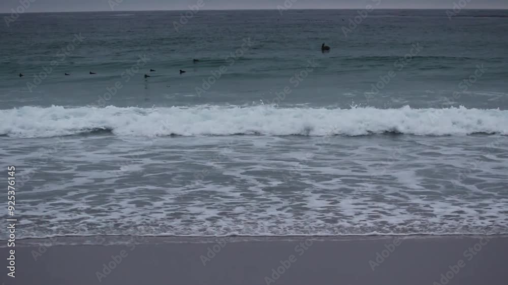 Birds Sitting On Ocean Waves At Dusk Carmel California With Sand Beach
Birds Sitting On Ocean Waves At Dusk Carmel California With Sand Beach