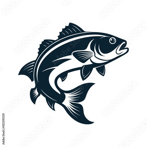 Photography Bass fish vector isolated illustration design