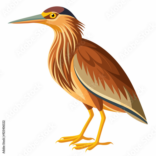 Bittern Art vector illustration