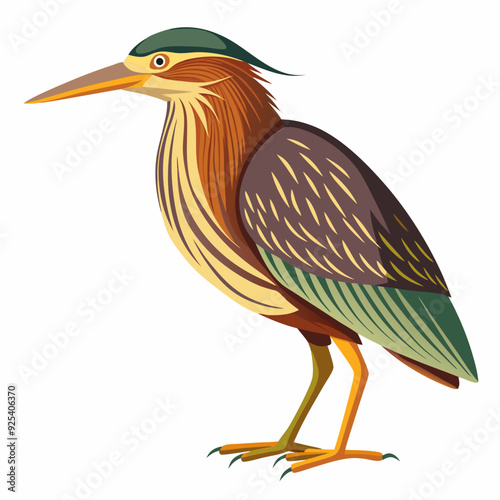 Bittern Art vector illustration photo