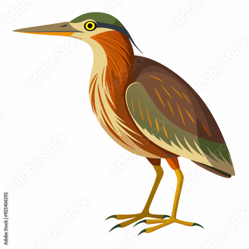 Bittern Art vector illustration