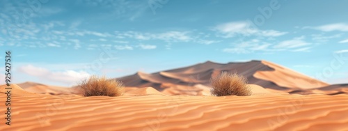 Sunlit Desert Dunes With Lush Grass Clusters Under Clear Blue Sky