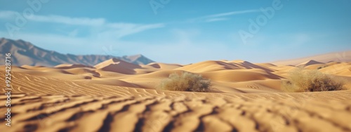 Sunlit Desert Dunes With Lush Grass Clusters Under Clear Blue Sky