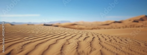 Golden Sand Dunes in a Wide Desert Under Bright Blue Sky