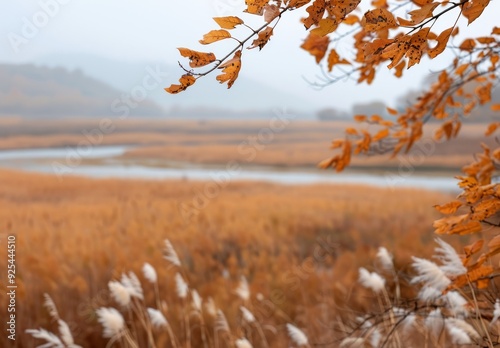 Autumn Landscape With Orange Leaves Near Calm Water and Rolling Hills