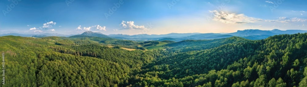 Obraz premium Panoramic view of a lush mountainous landscape with a clear blue sky and distant peaks.