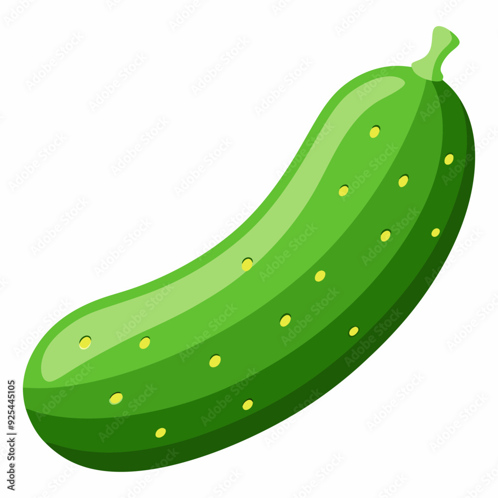 Cucumber vector illustration Cucumber vector illustration