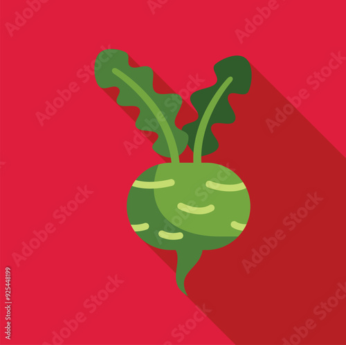 This colorful vector icon features a green kohlrabi vegetable with long shadow on a red background