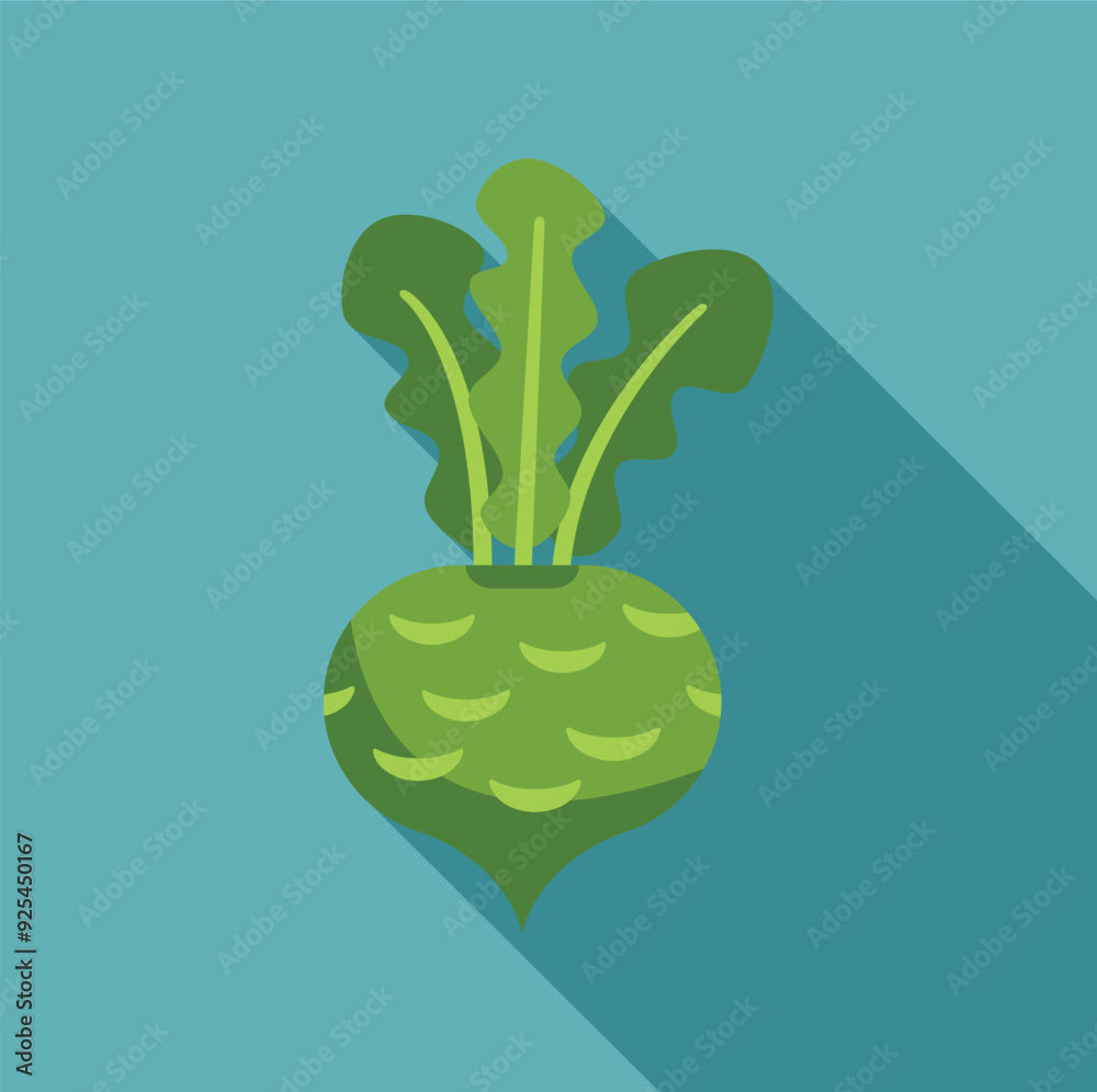 Green kohlrabi vegetable with leaves is shown growing on a blue background Green kohlrabi vegetable with leaves is shown growing on a blue background