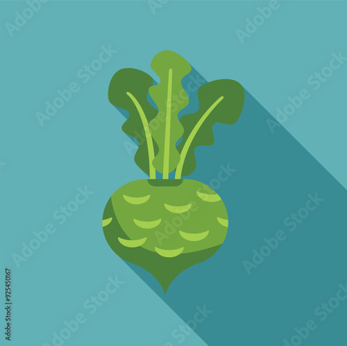 Green kohlrabi vegetable with leaves is shown growing on a blue background