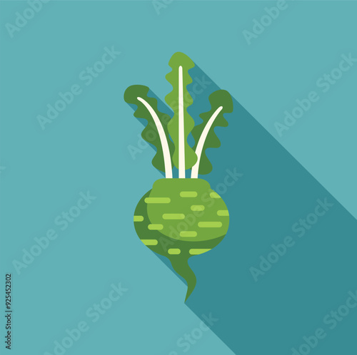 Flat design icon of a kohlrabi vegetable with long shadow on turquoise background