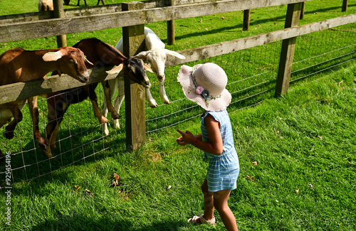 little girl in a hat feeding animals