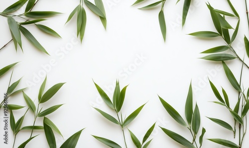 A bunch of green leaves are arranged in a circle on a white background